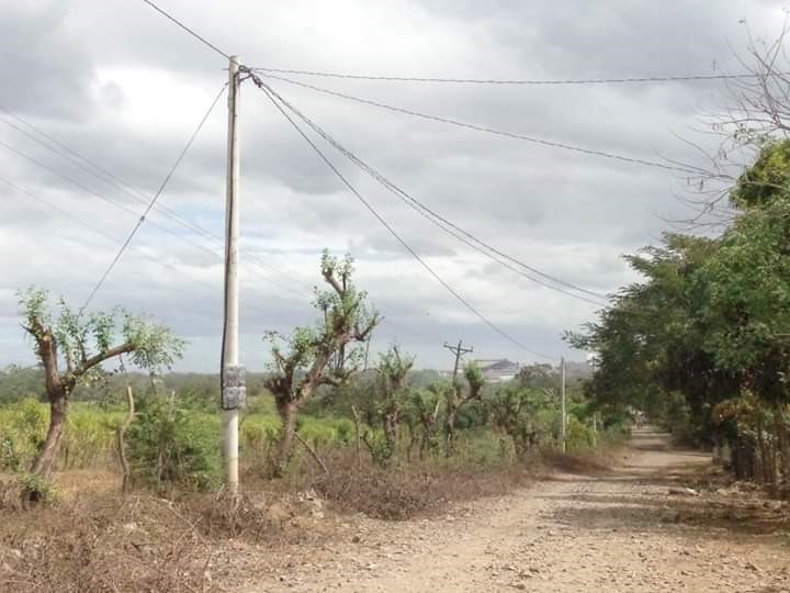 CAMPIRANO2